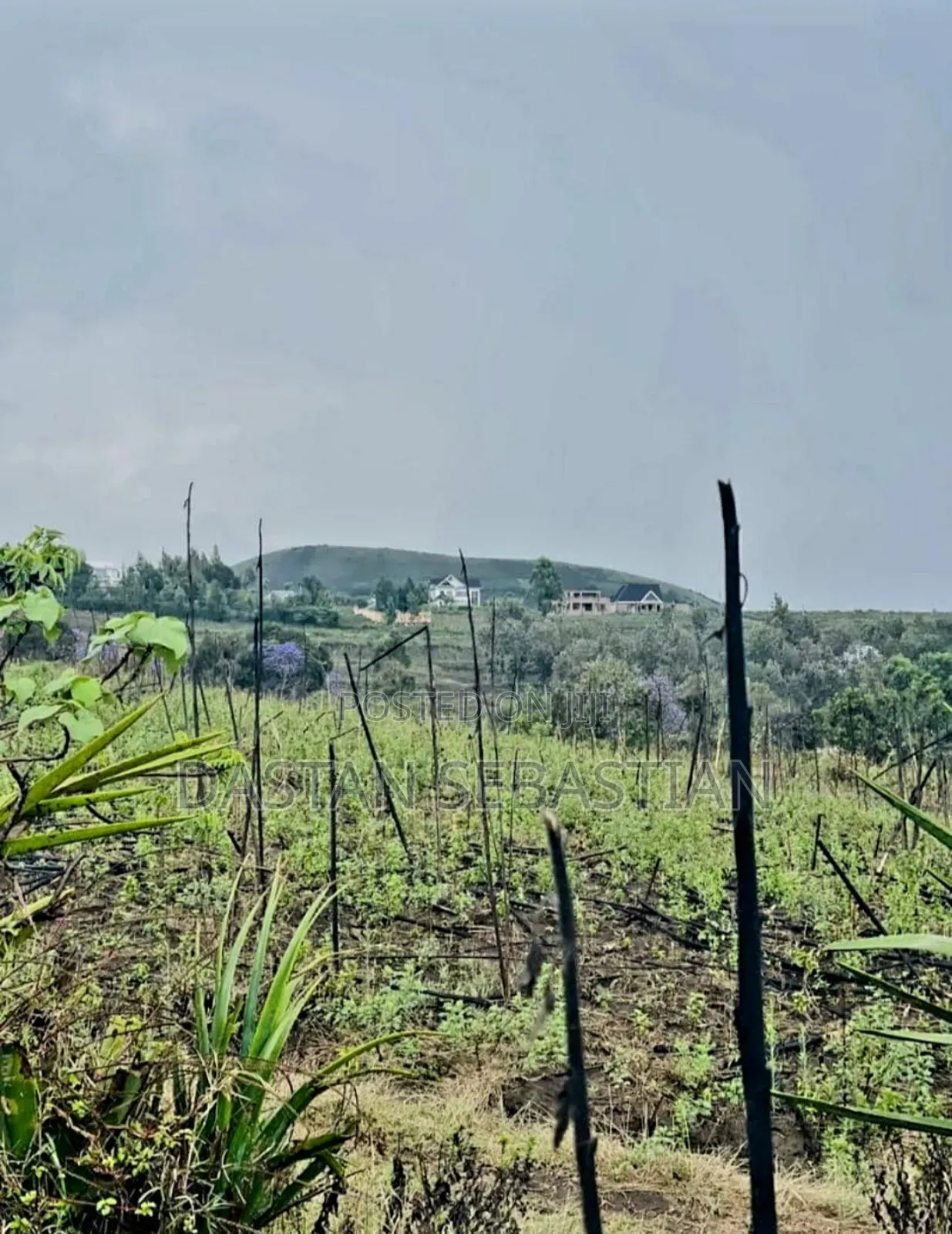 Funga Mwaka Miliki Ardhi Ngaramtoni in Arusha