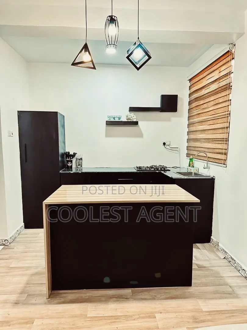Furnished 1bdrm Apartment in Kinondoni for rent in Kinondoni