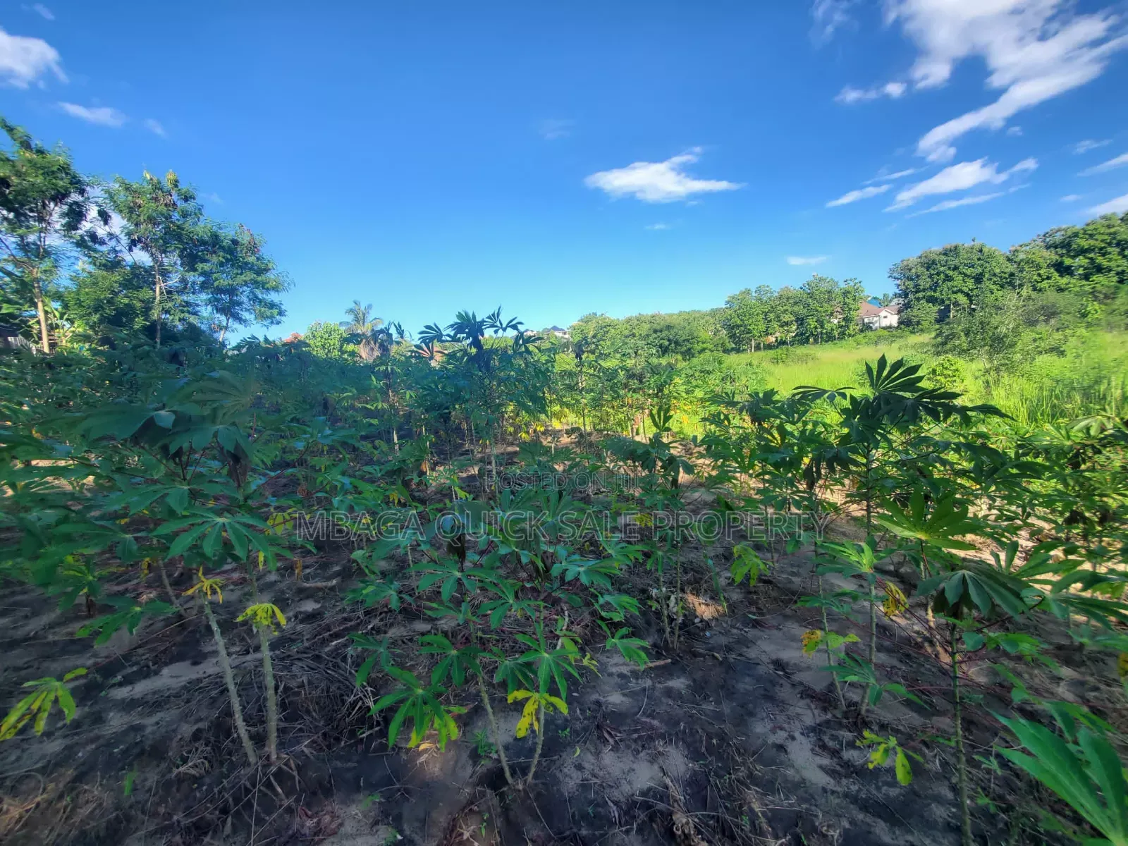 Plot for Sale at Madale Mwisho in Goba