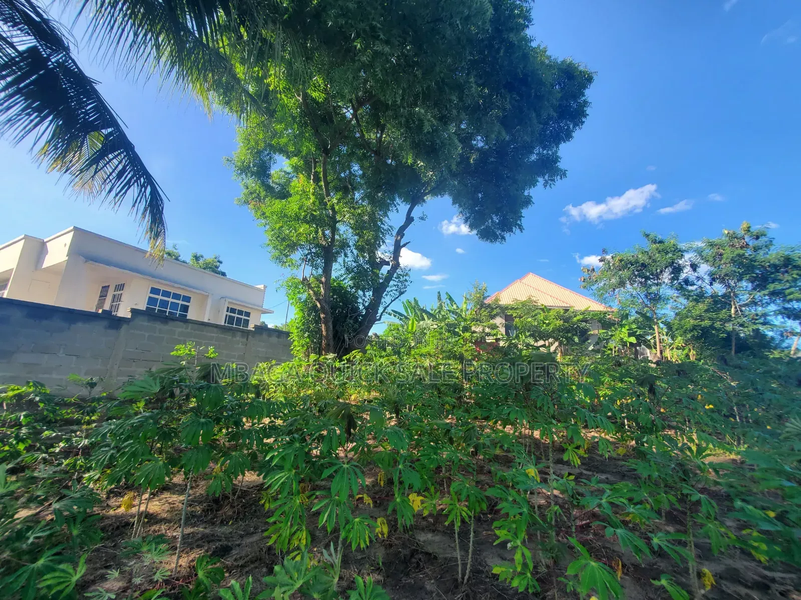 Plot for Sale at Madale Mwisho in Goba