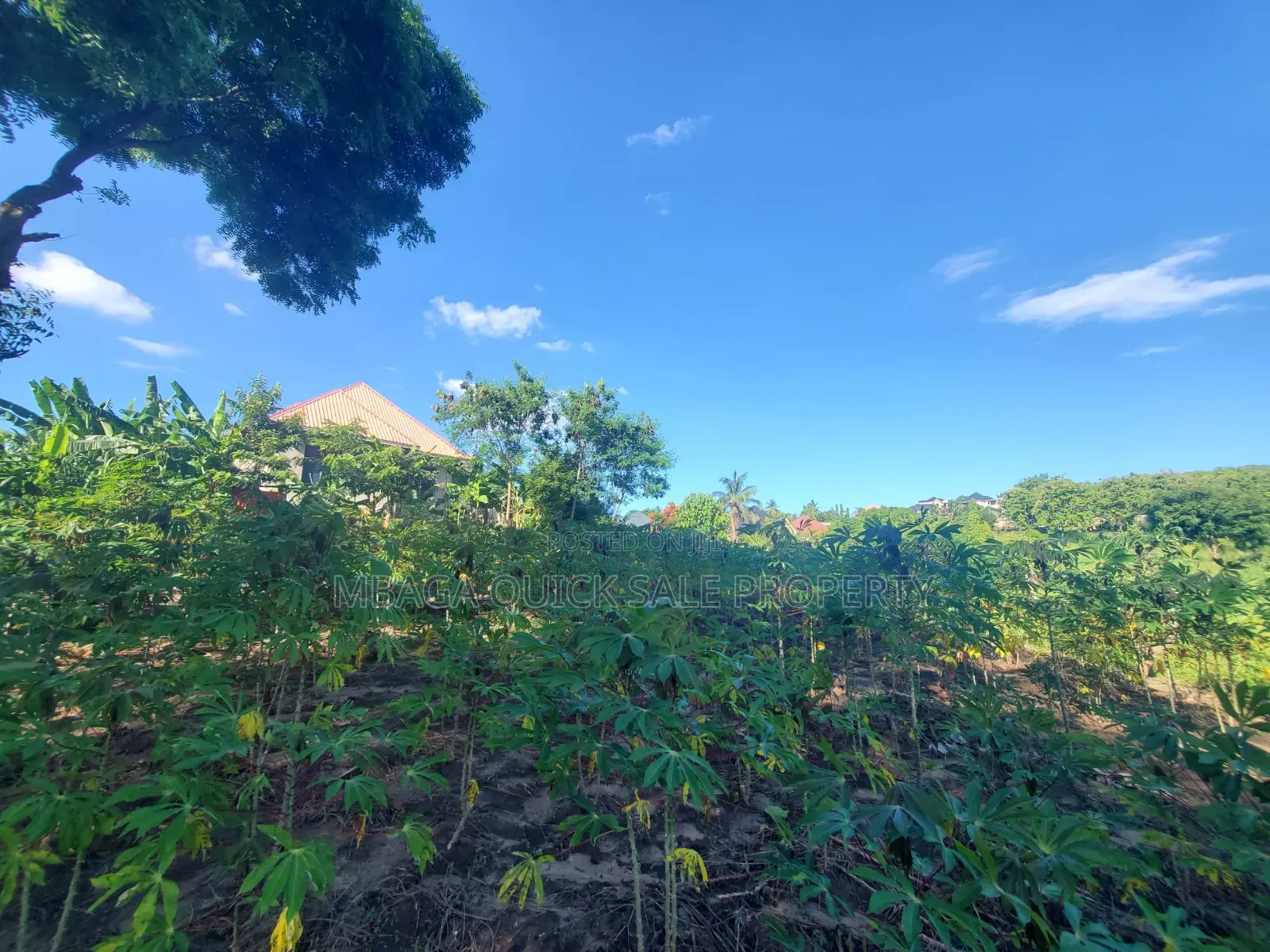 Plot for Sale at Madale Mwisho in Goba