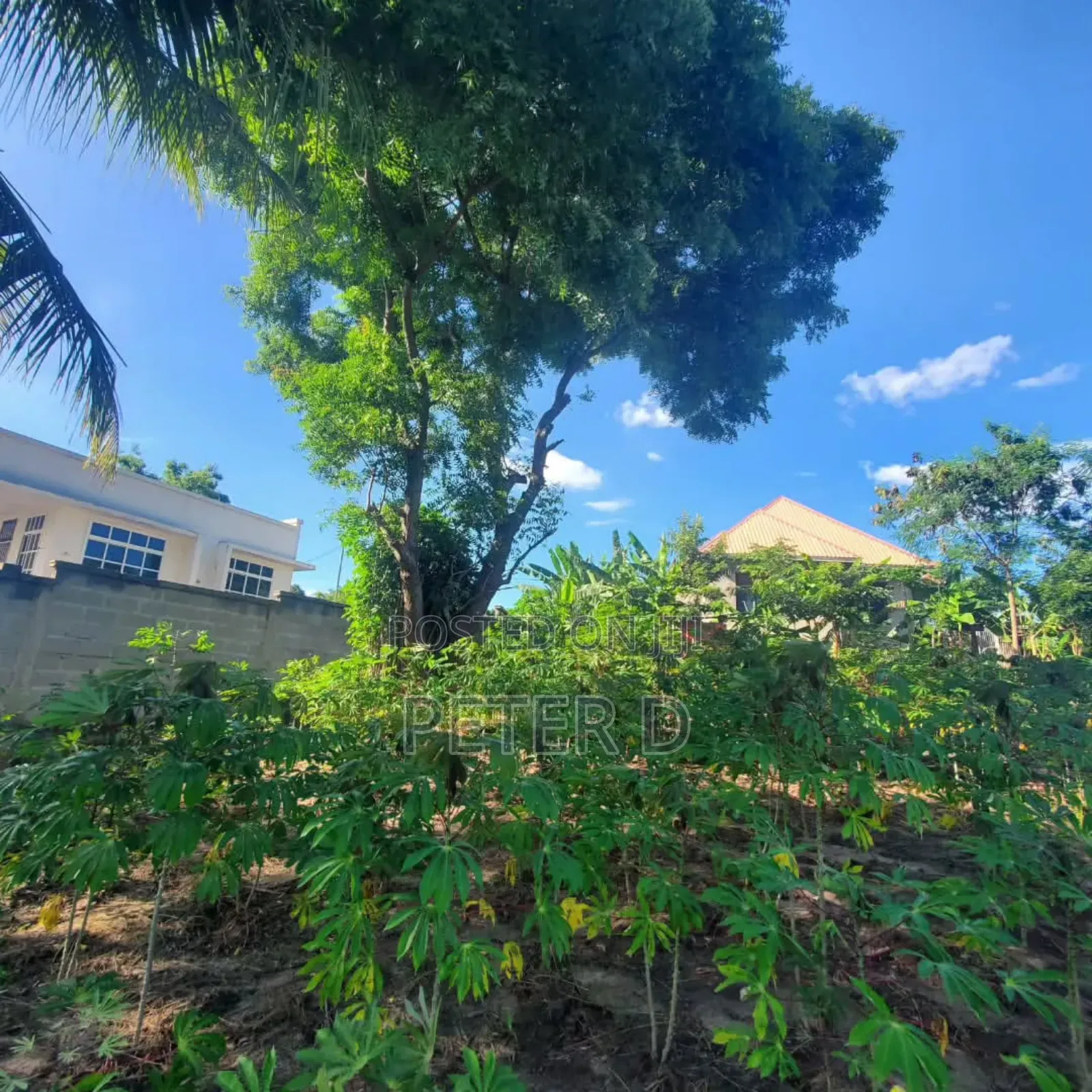 Kiwanja Madale in Goba