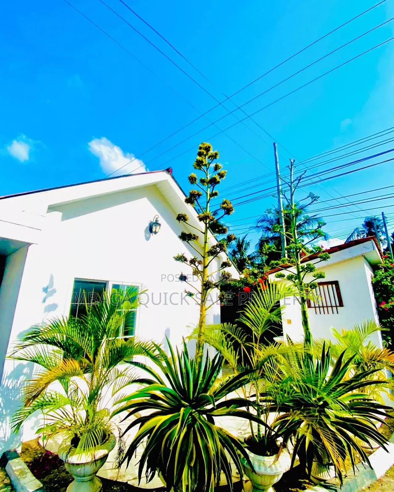 2bdrm Apartment in Mikocheni Kwa for rent in Mikocheni