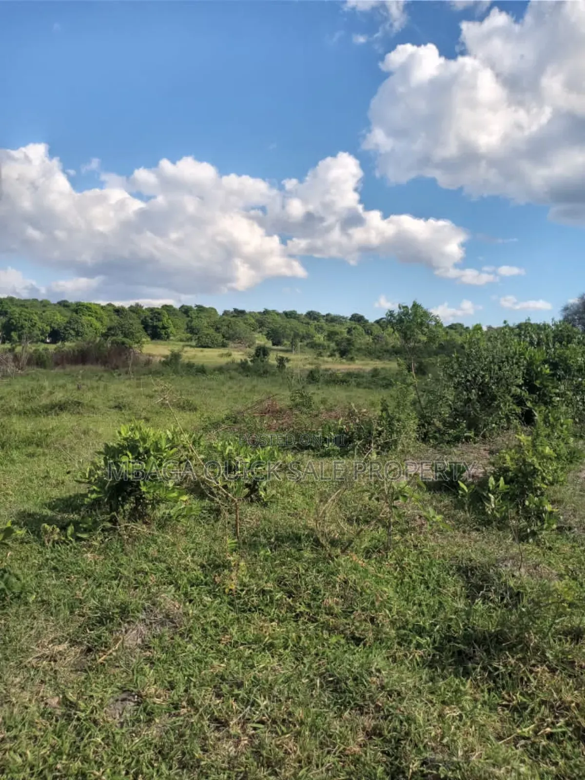 Plot for Sale at Goba Kulangwa in Goba