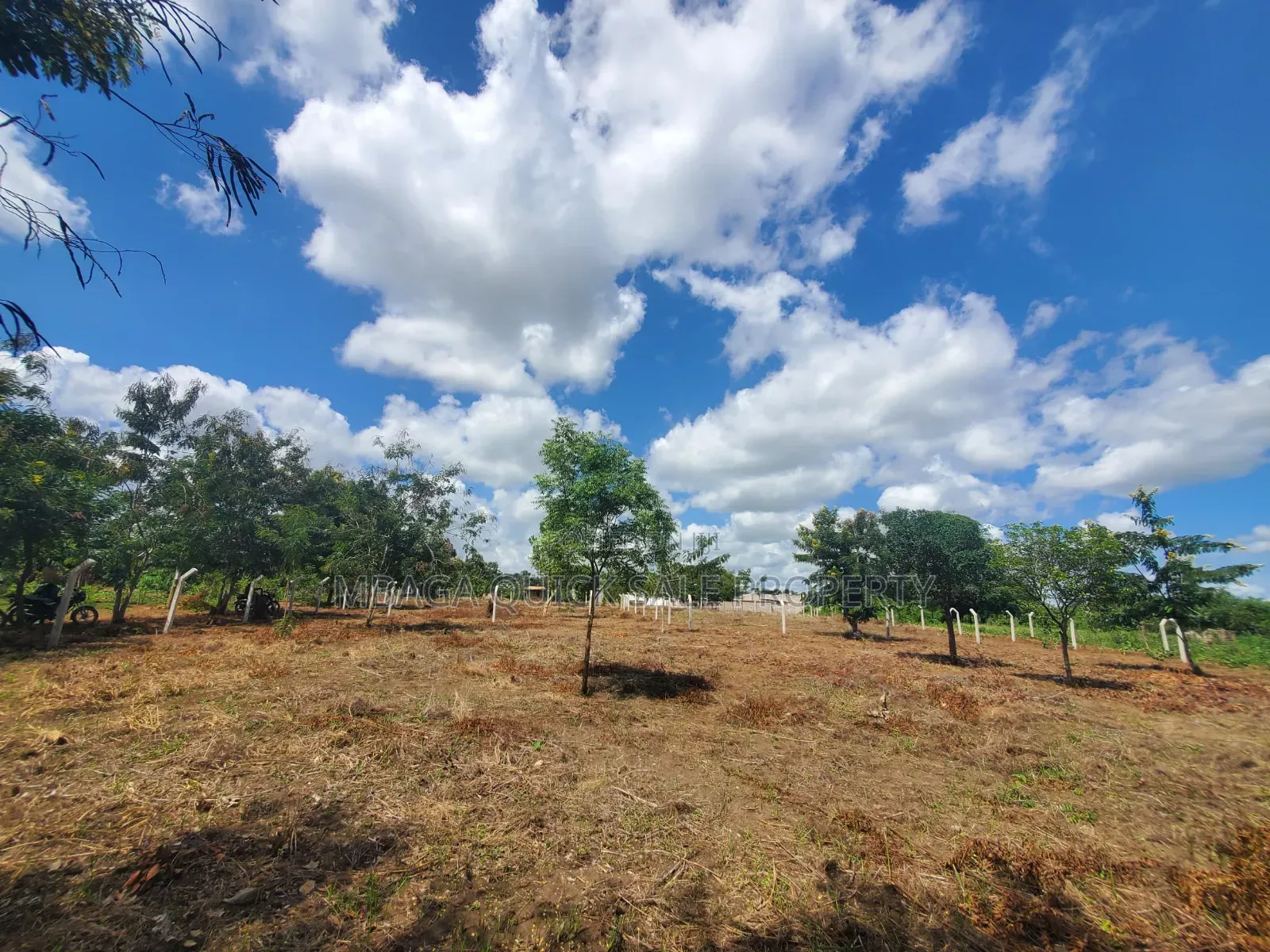 Plot for Sale at Madale Nyakasangwe in Goba