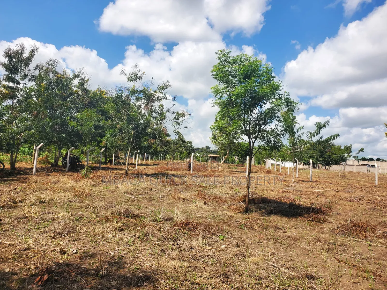 Plot for Sale at Madale Nyakasangwe in Goba