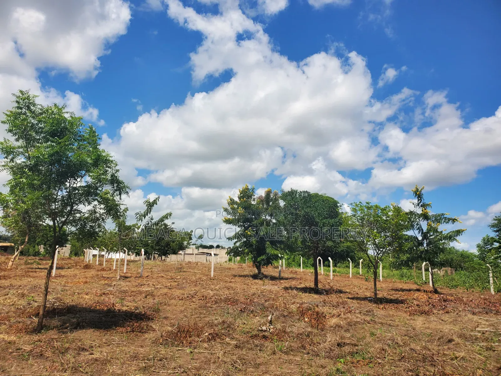 Plot for Sale at Madale Nyakasangwe in Goba