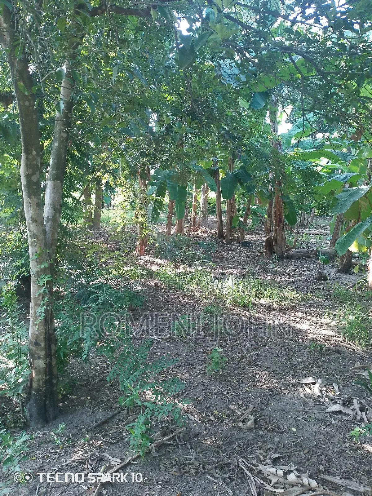 Eneo Heka 2 Linauzwa Milioni 300 Majohe Kichangani. in Ilala