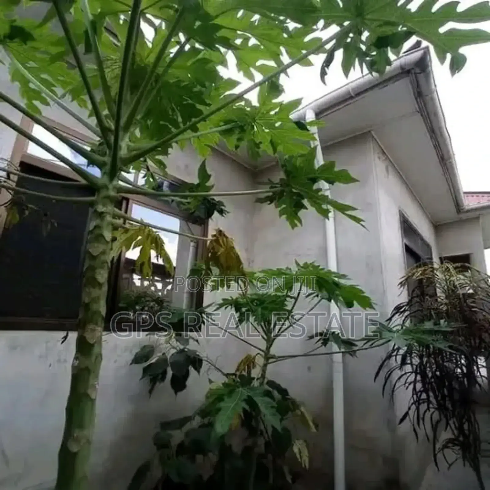 3bdrm House in Majohe Viwege, Ilala for sale in Ilala