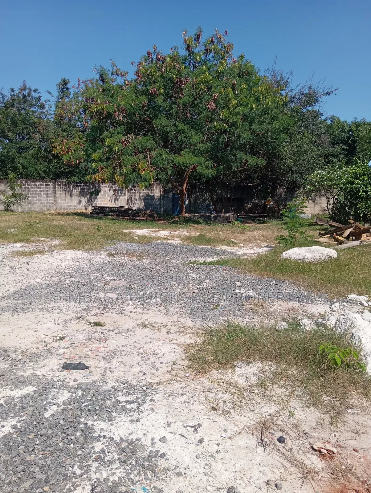 2 Bed Room Room House With Big Company Yard at Mikocheni in Mikocheni
