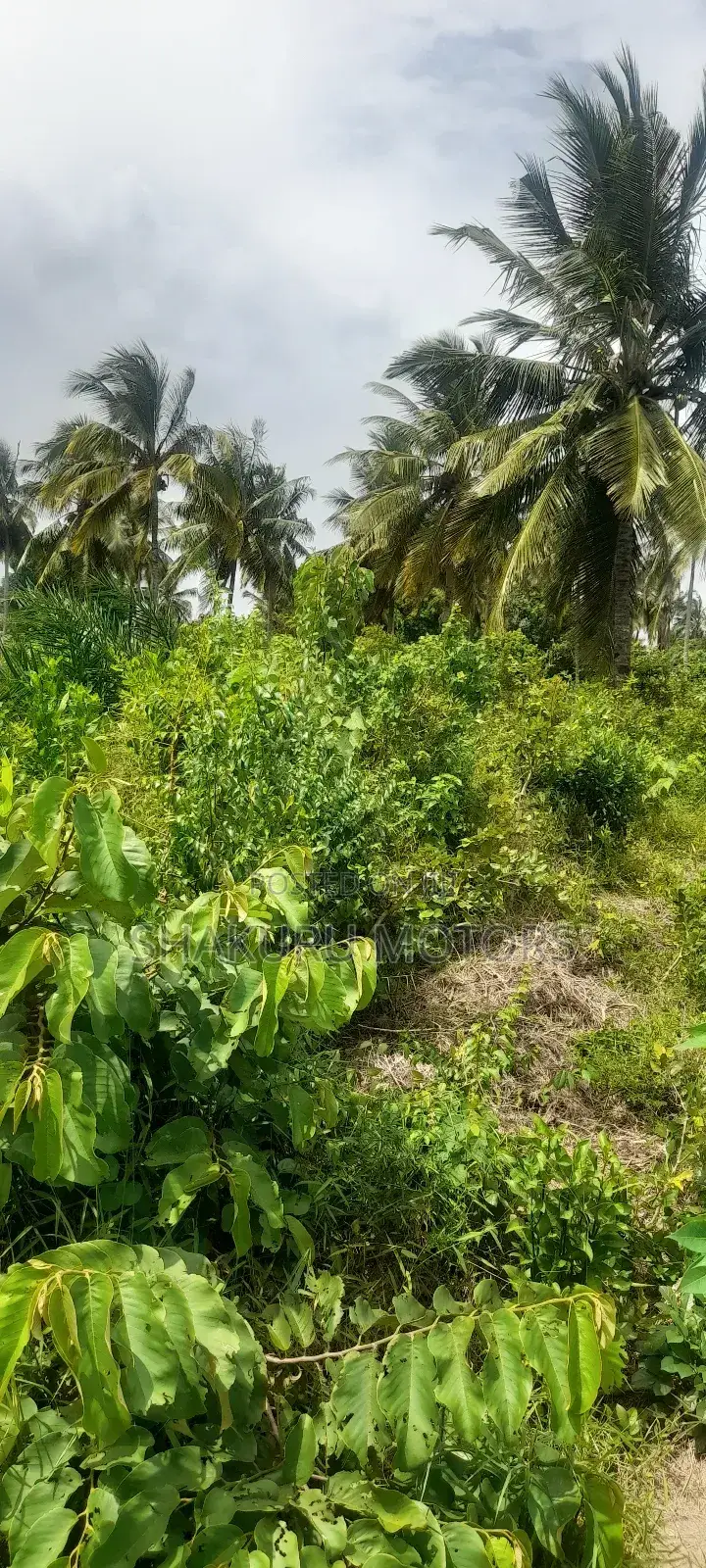 Industry Area 5.079 Hectares in Mkuranga