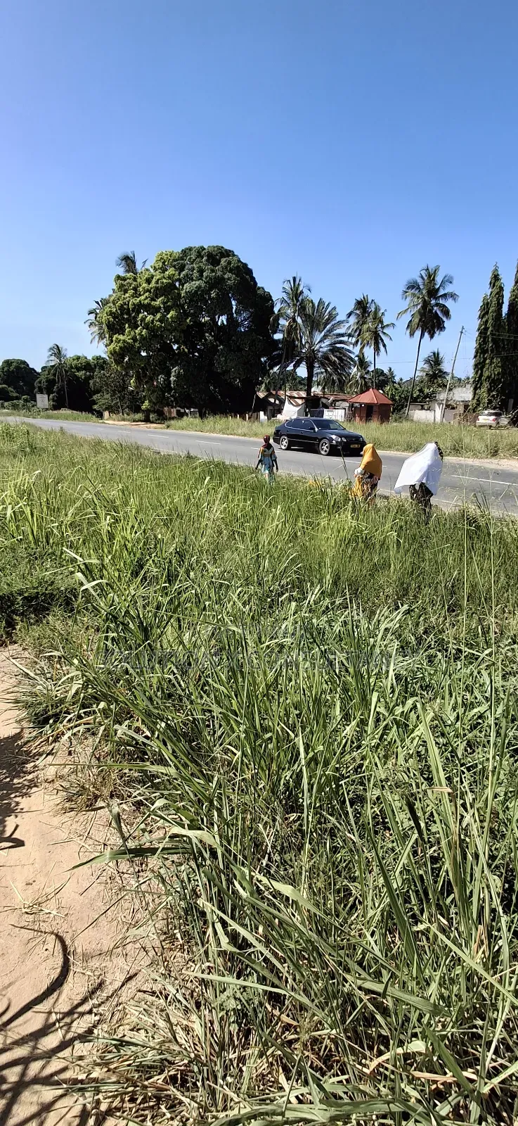 Eneo Linauzwa Kerege Manofu in Bagamoyo