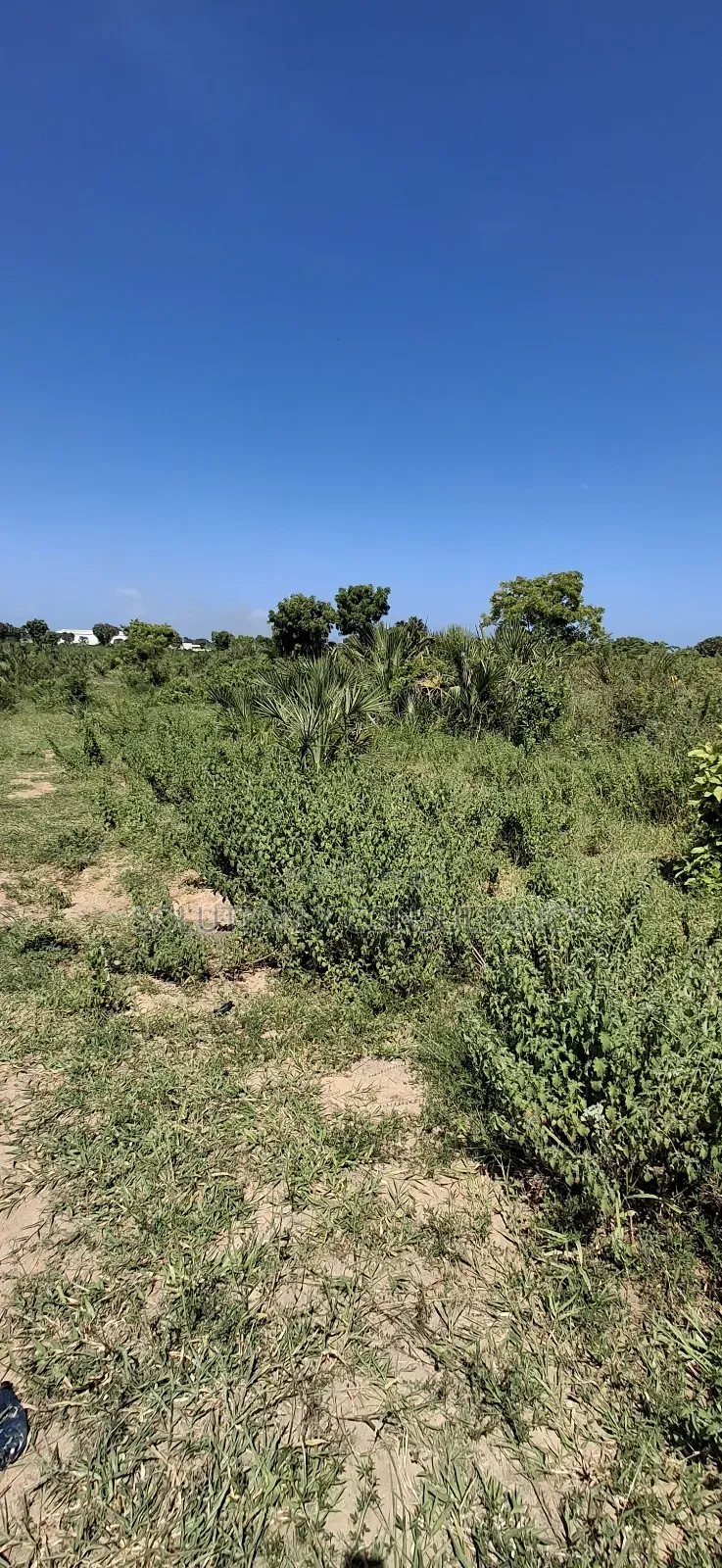 Eneo La Viwanda Linauzwa Bagamoyo Zinga in Bagamoyo
