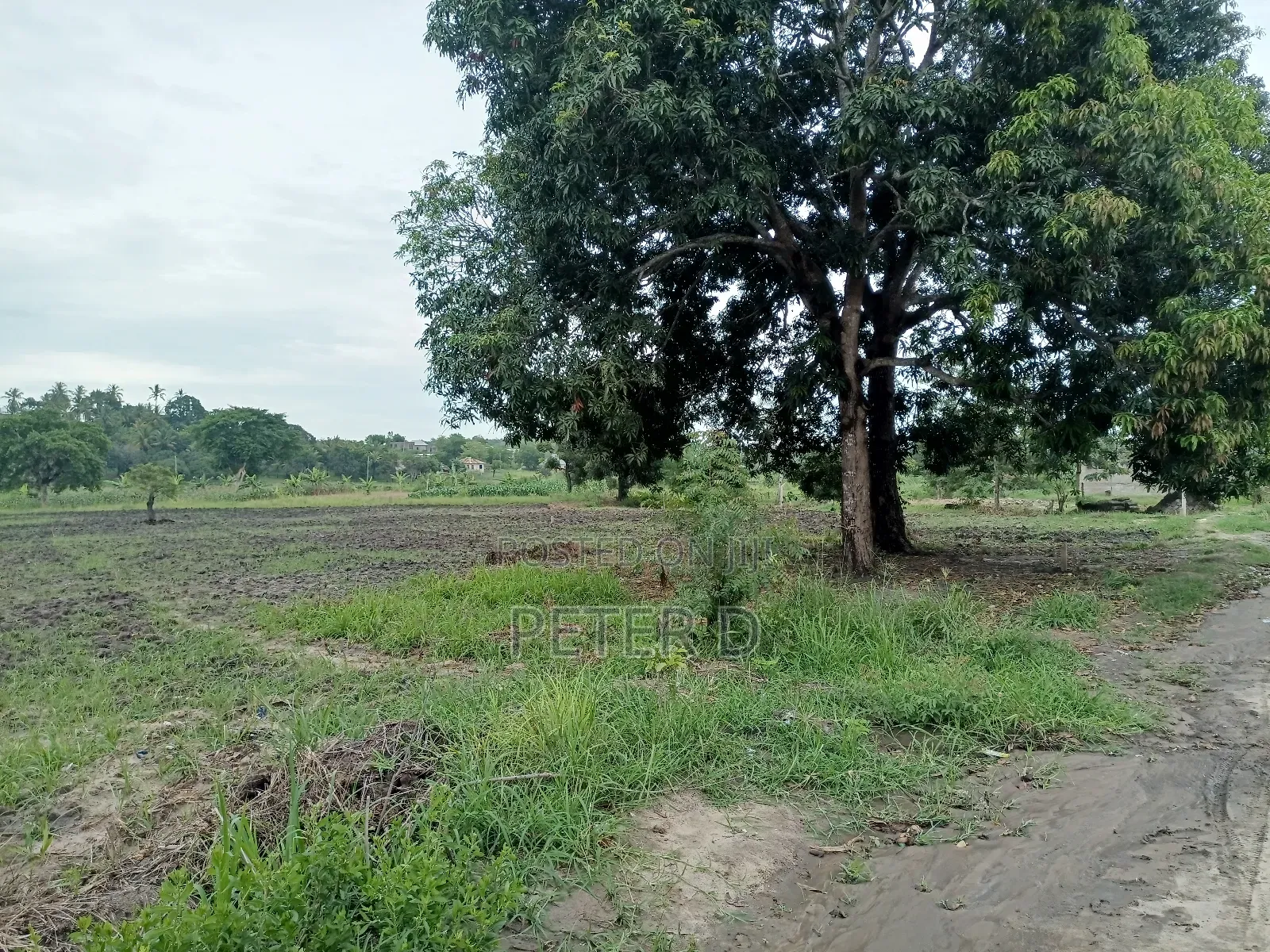 Kiwanja Kibamba Shule Sqm800 in Kibamba