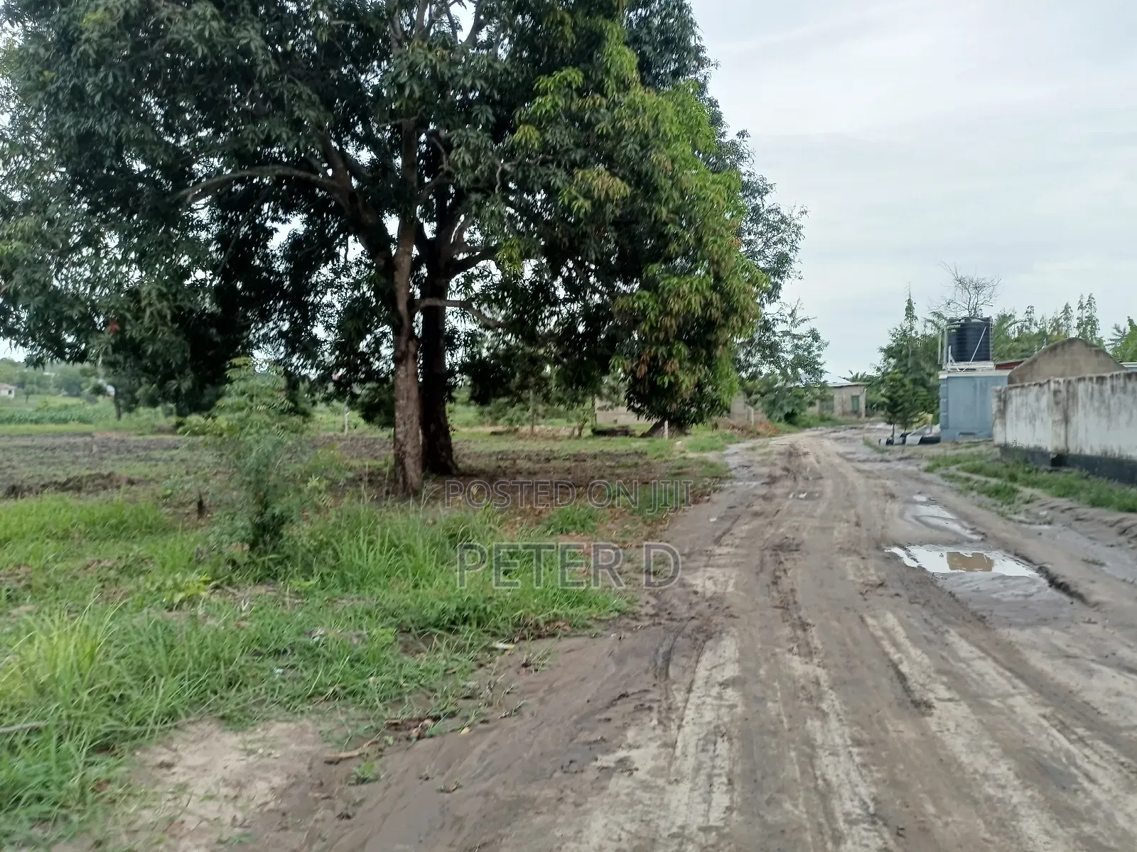Kiwanja Kibamba Shule Sqm800 in Kibamba