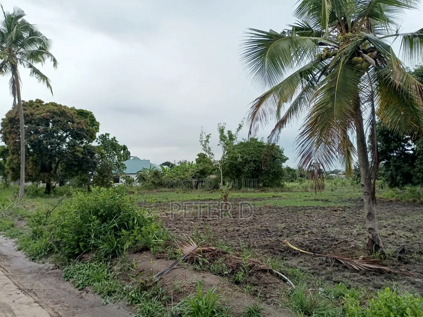 Kiwanja Kibamba Shule Sqm800 in Kibamba