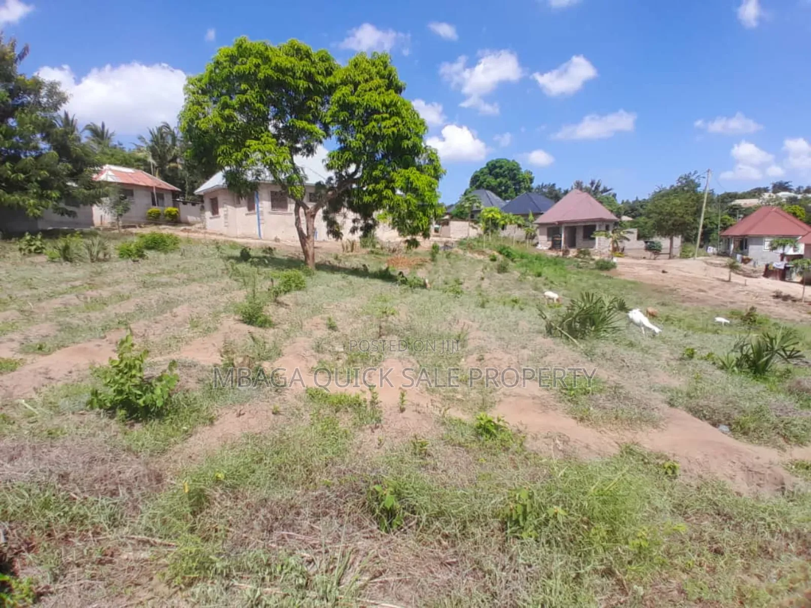 Plot for Sale at Mbezi Msakuzi in Mbezi