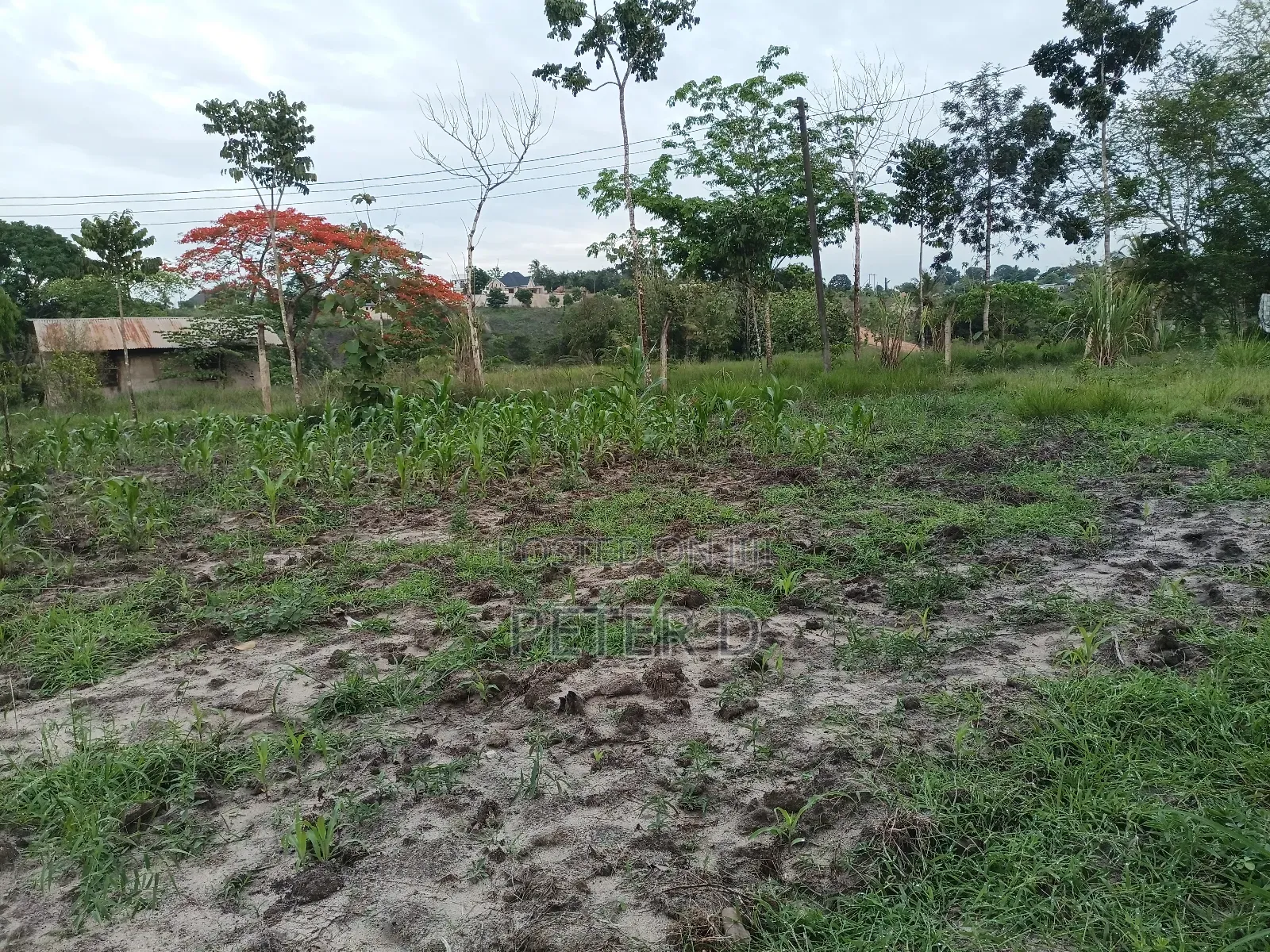 Kiwanja Mkeka Kibamba Kibwegere in Kibamba