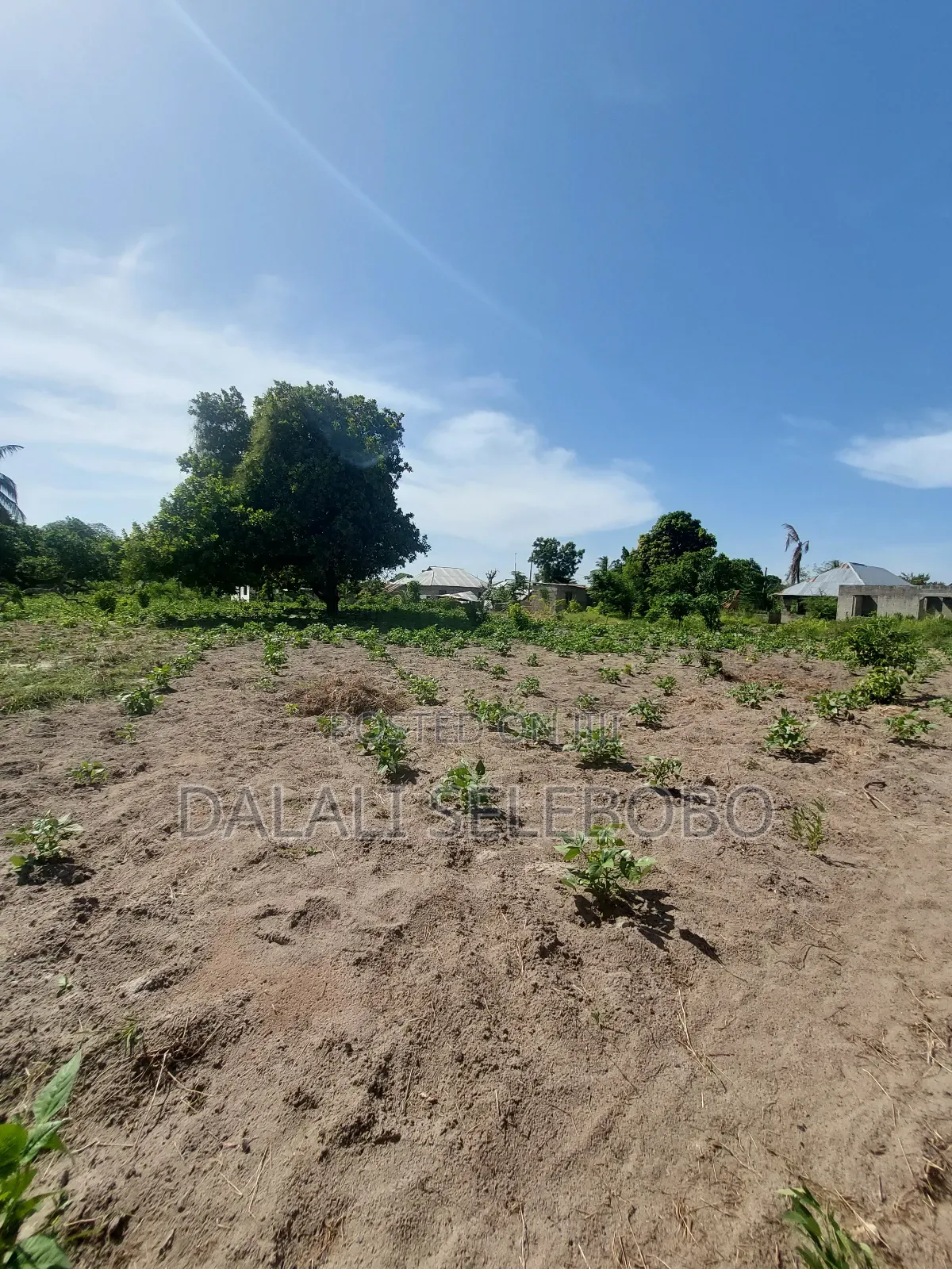 Plot Sale 1hecta at Bagamoyo Chemchem Mjini in Bagamoyo