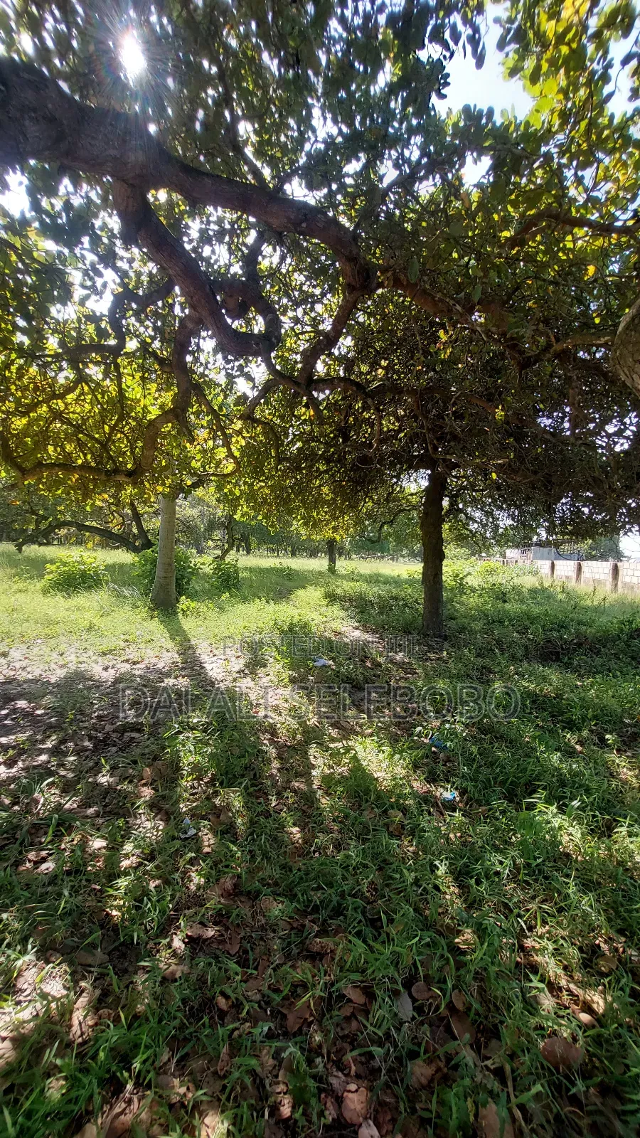Plot Sale 1hecta at Bagamoyo Chemchem Mjini in Bagamoyo