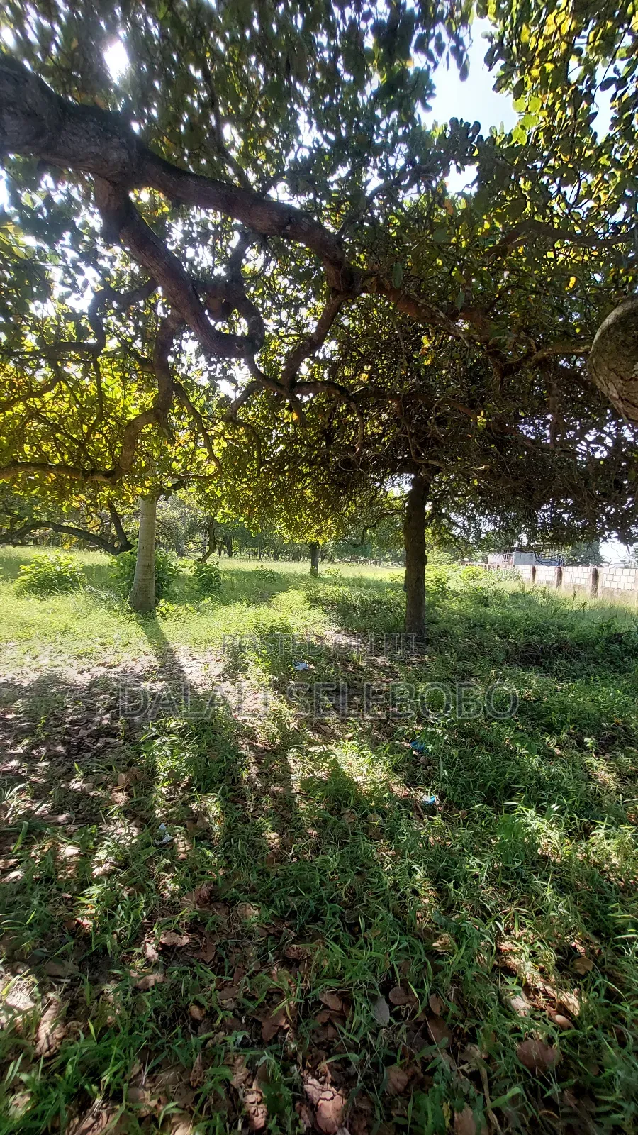 Plot Sale 1hecta at Bagamoyo Chemchem Mjini in Bagamoyo