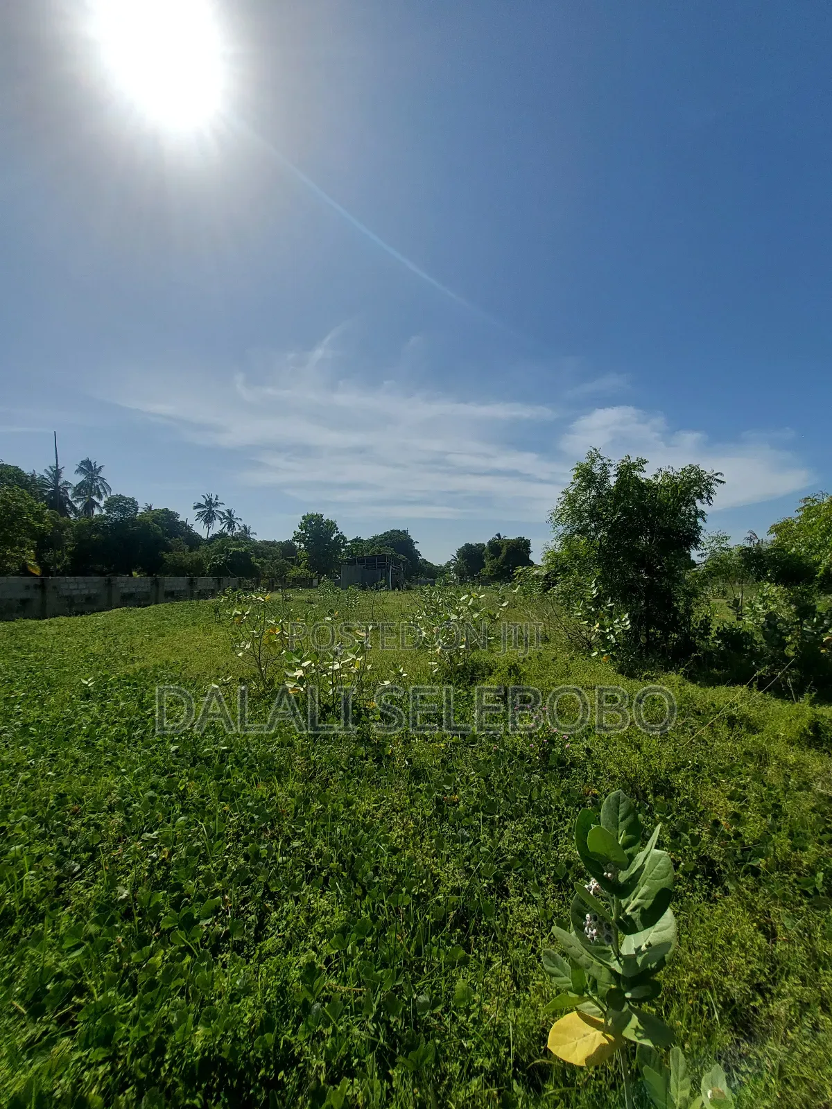 Plot Sale 1hecta at Bagamoyo Chemchem Mjini in Bagamoyo