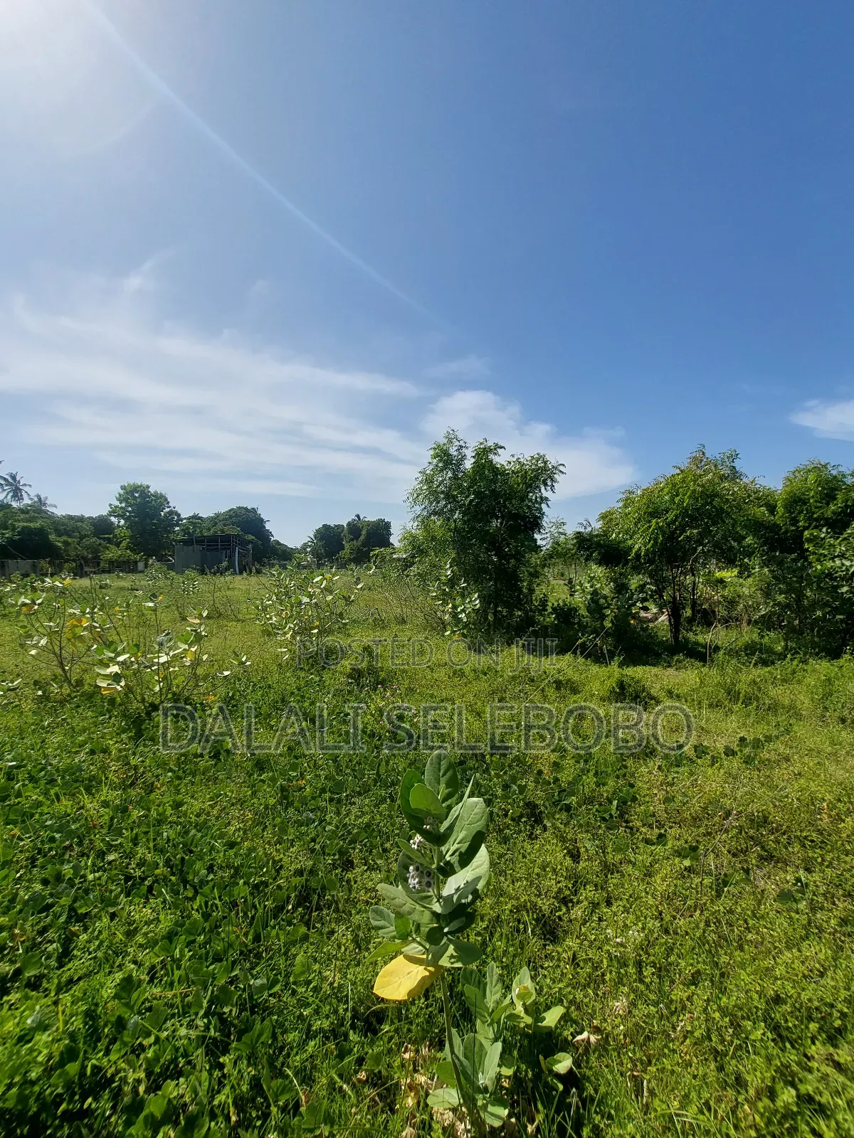 Plot Sale 1hecta at Bagamoyo Chemchem Mjini in Bagamoyo