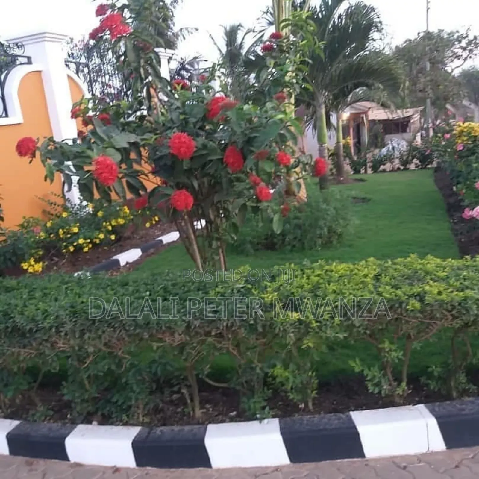 3bdrm House in Bwiru, Ilemela for rent in Ilemela