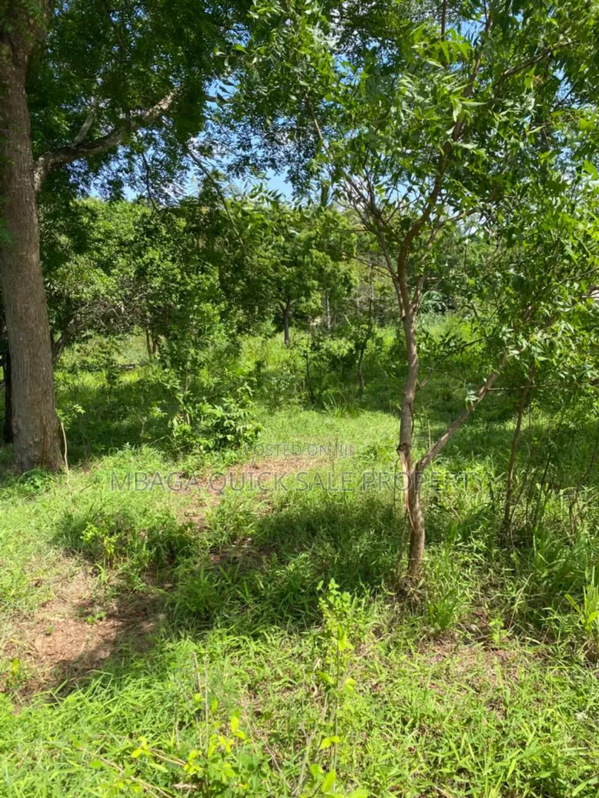 Plot for Sale at Mbezi Msumi in Mbezi