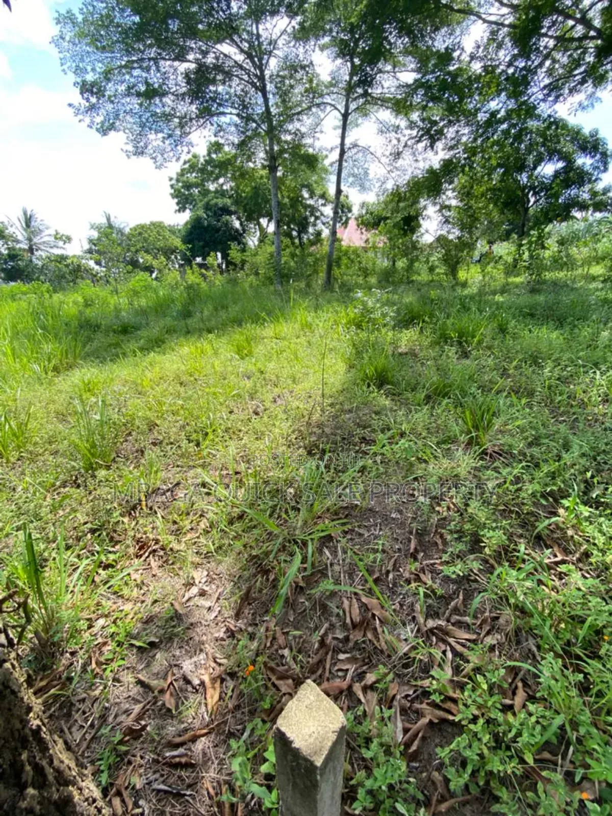 Plot for Sale at Mbezi Msumi in Mbezi