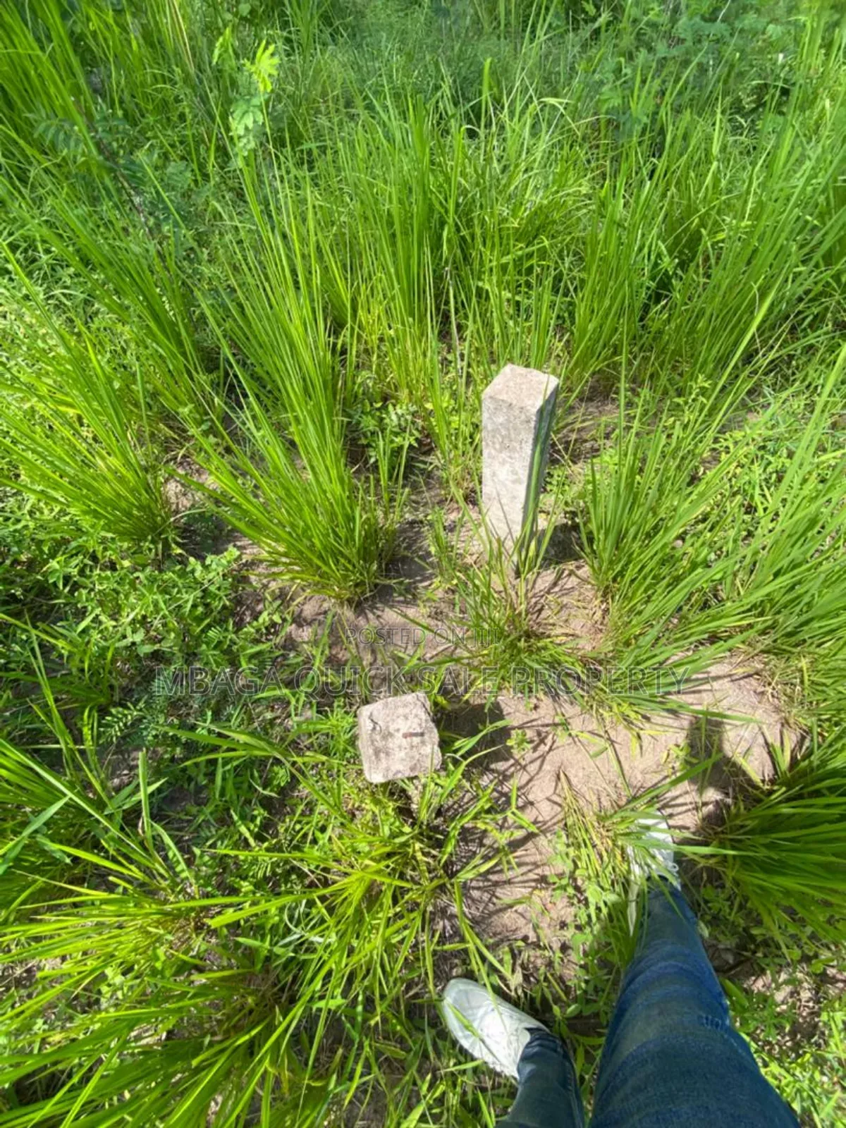 Plot for Sale at Mbezi Msumi in Mbezi