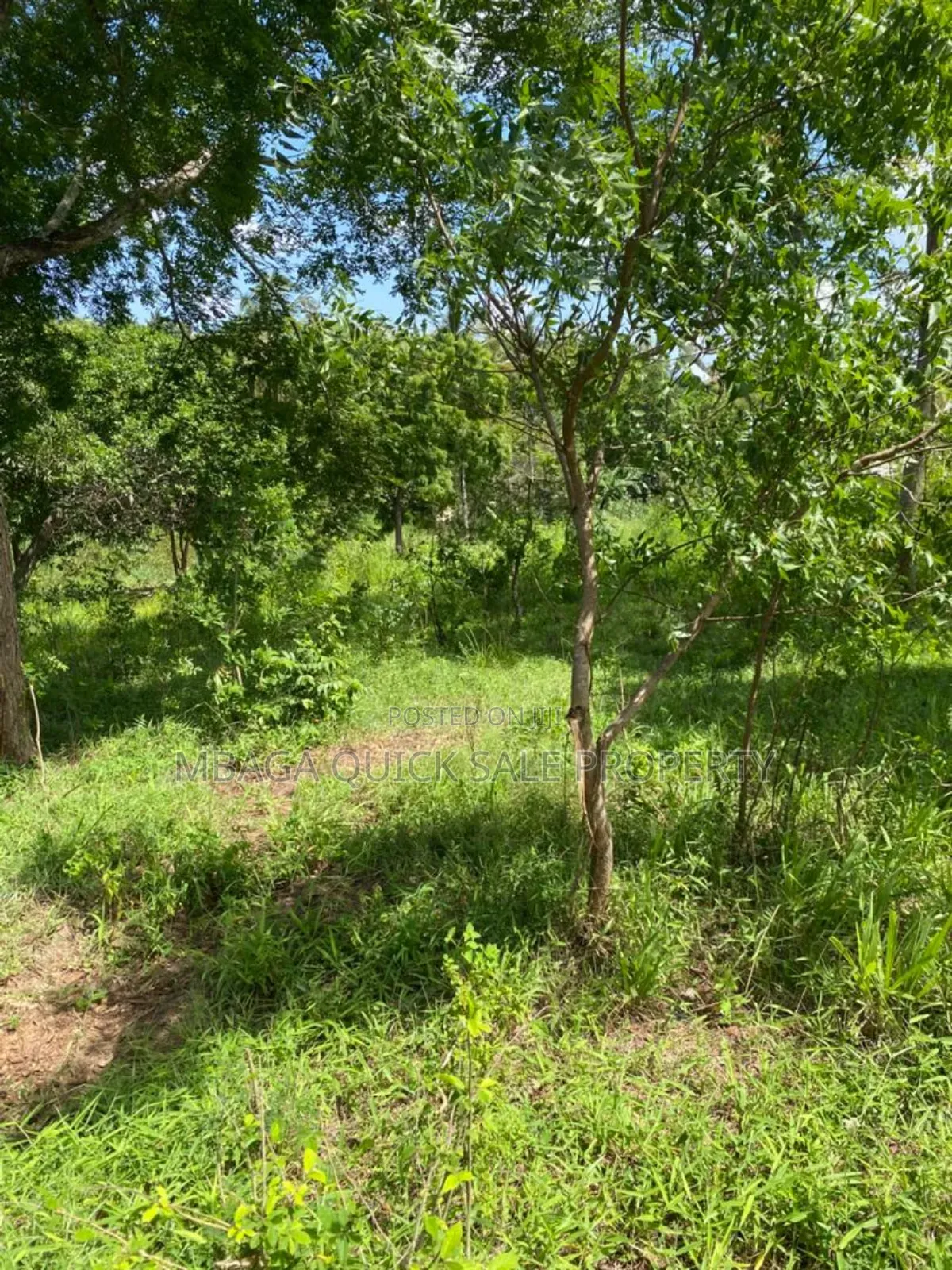 Plot for Sale at Mbezi Msumi in Mbezi