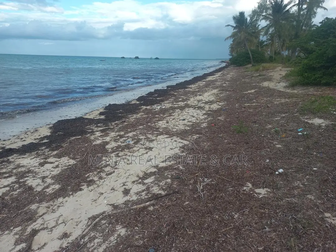 Beach Plot for Sale Kilwa Masoko in Kivinje Singino