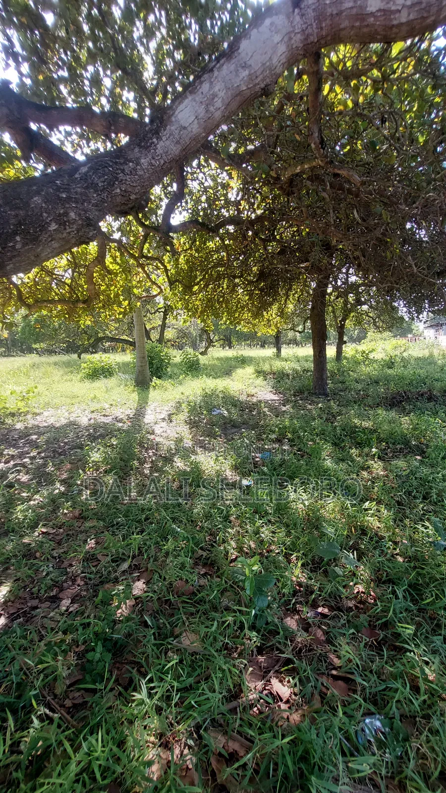2hecta Industry Plot at Mbez Beach Jogoo in Mbezi Beach