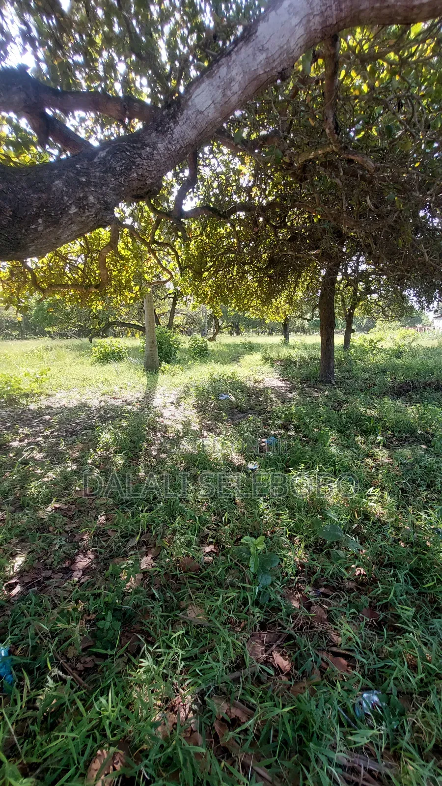 2hecta Industry Plot at Mbez Beach Jogoo in Mbezi Beach