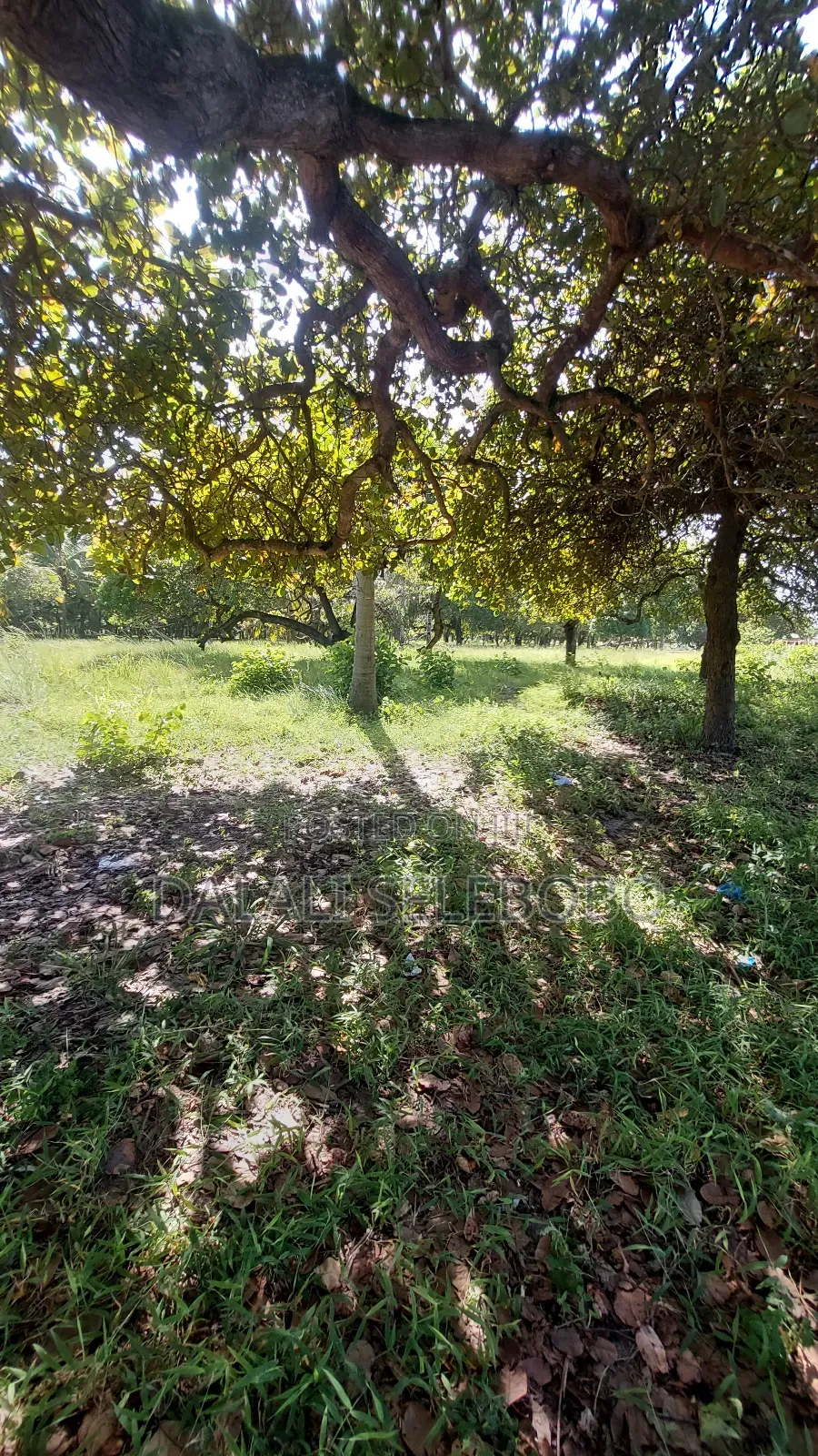 2hecta Industry Plot at Mbez Beach Jogoo in Mbezi Beach