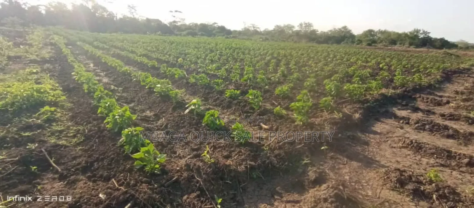 Farm Along River for Sale Per Acres at Kiwangwa Bagamoyo in Bagamoyo