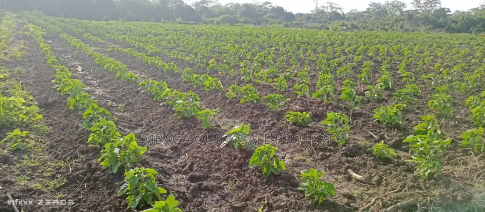 Farm Along River for Sale Per Acres at Kiwangwa Bagamoyo in Bagamoyo