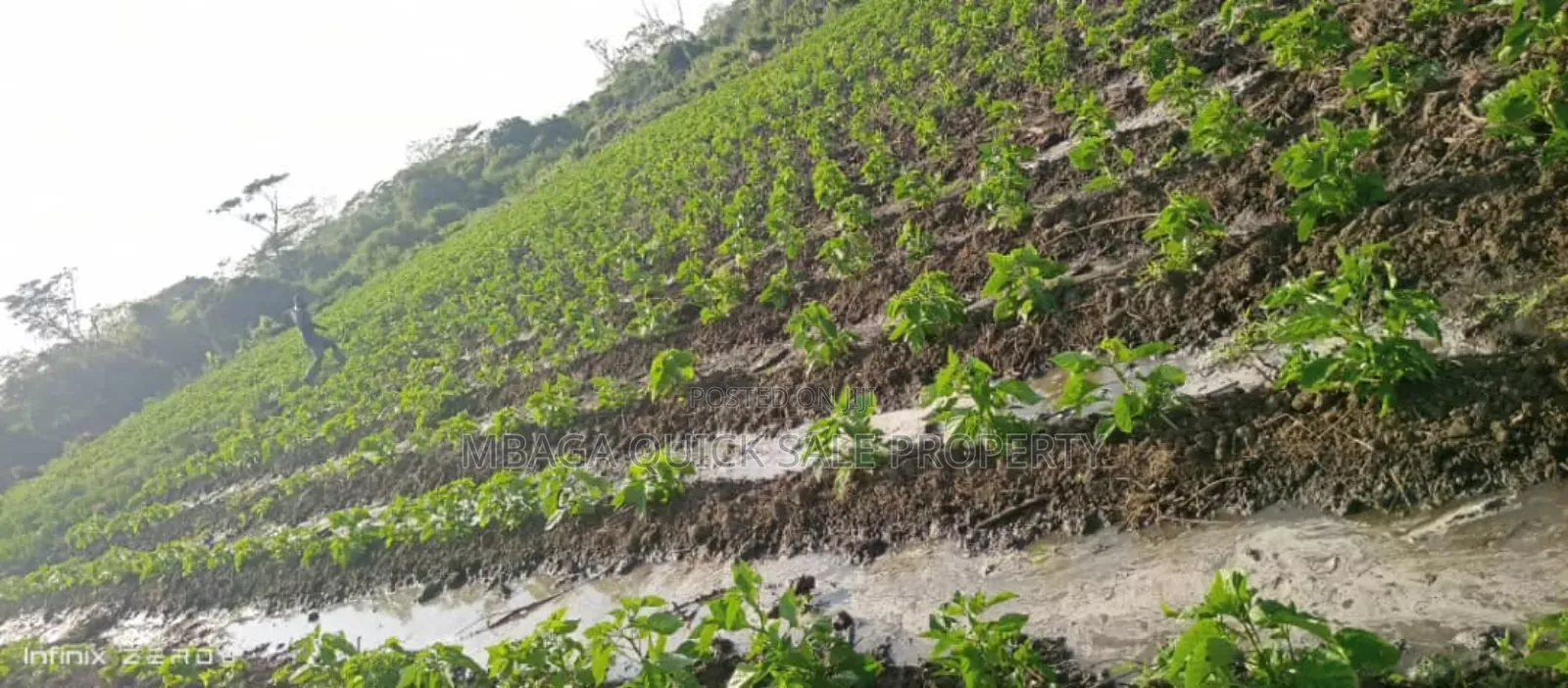 Farm Along River for Sale Per Acres at Kiwangwa Bagamoyo in Bagamoyo