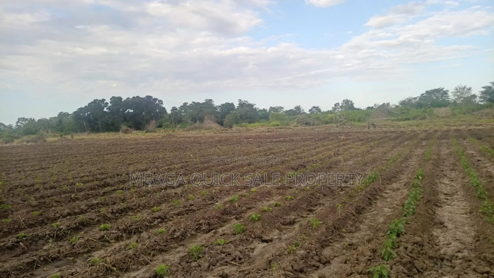 Farm Along River for Sale Per Acres at Kiwangwa Bagamoyo in Bagamoyo