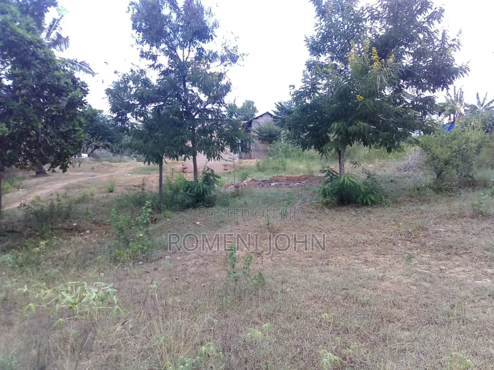 Kiwanja Kinauzwa Milioni 40 Pugu Stesheni. in Ilala