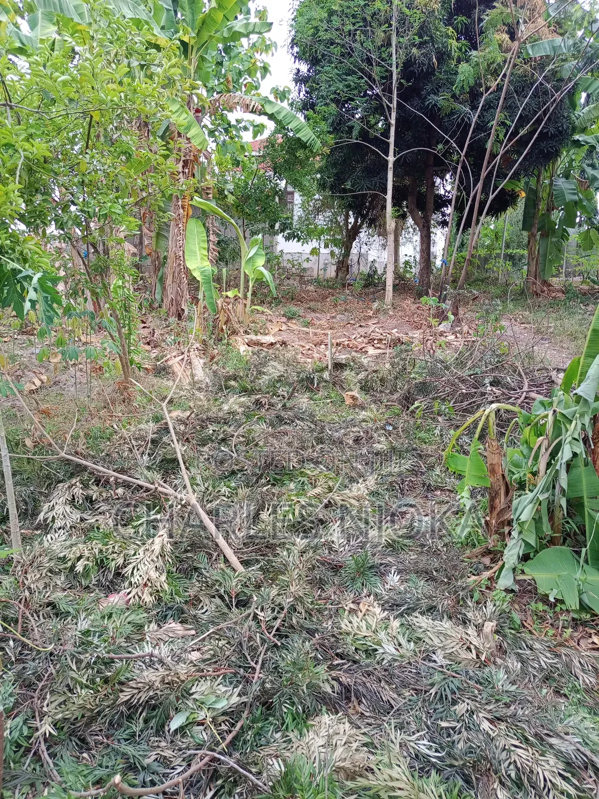 Kiwanja Kinauzwa Milioni 3.5 Ukonga Kwa Diwani. in Ukonga