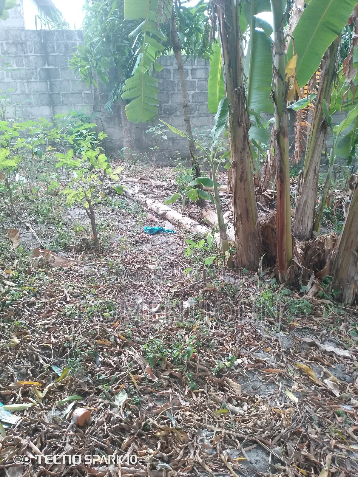 Kiwanja Sqmita 120 Kinauzwa Milioni 3.5 Ukonga Kwa Diwani. in Ilala