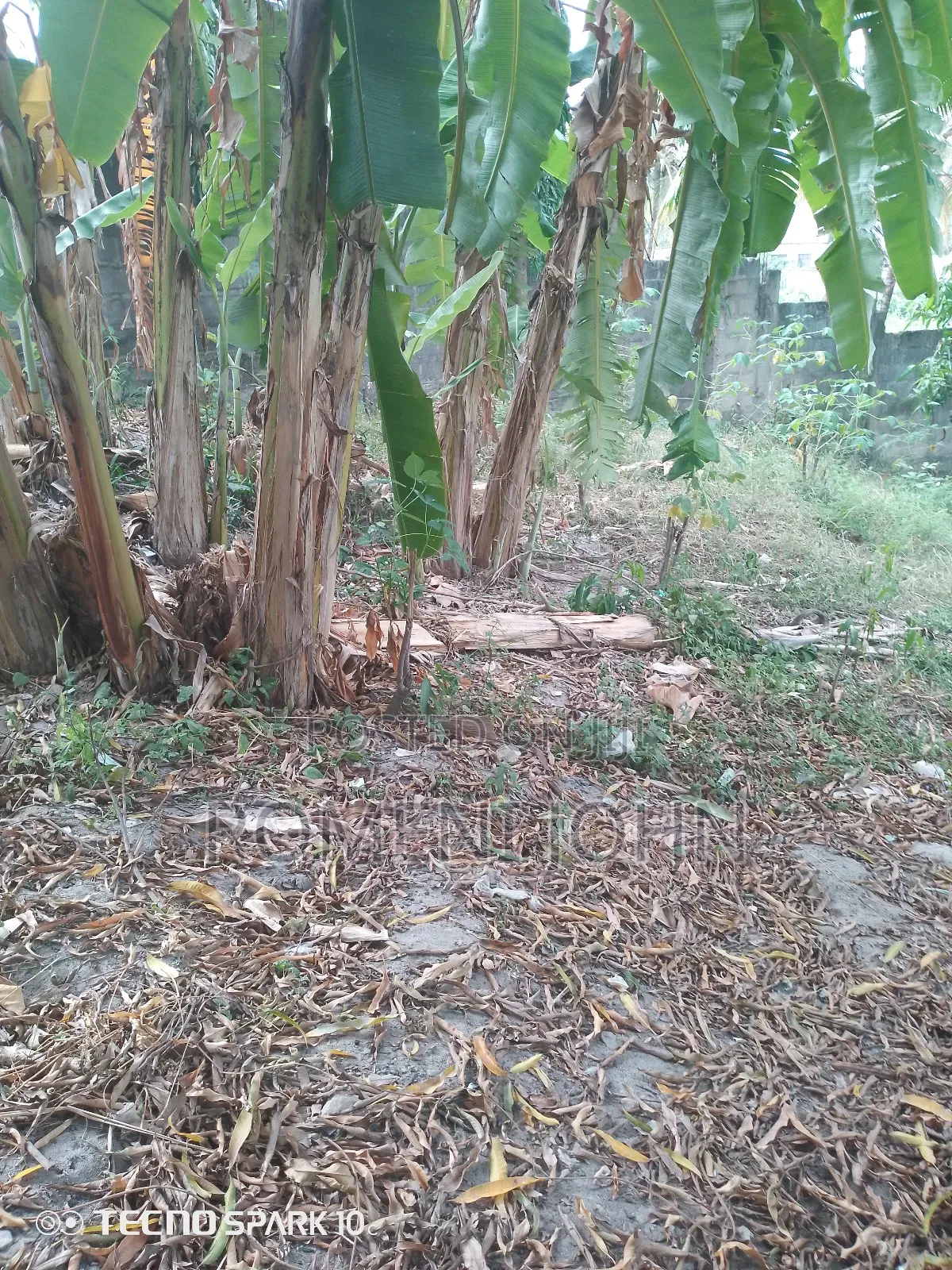 Kiwanja Sqmita 120 Kinauzwa Milioni 3.5 Ukonga Kwa Diwani. in Ilala