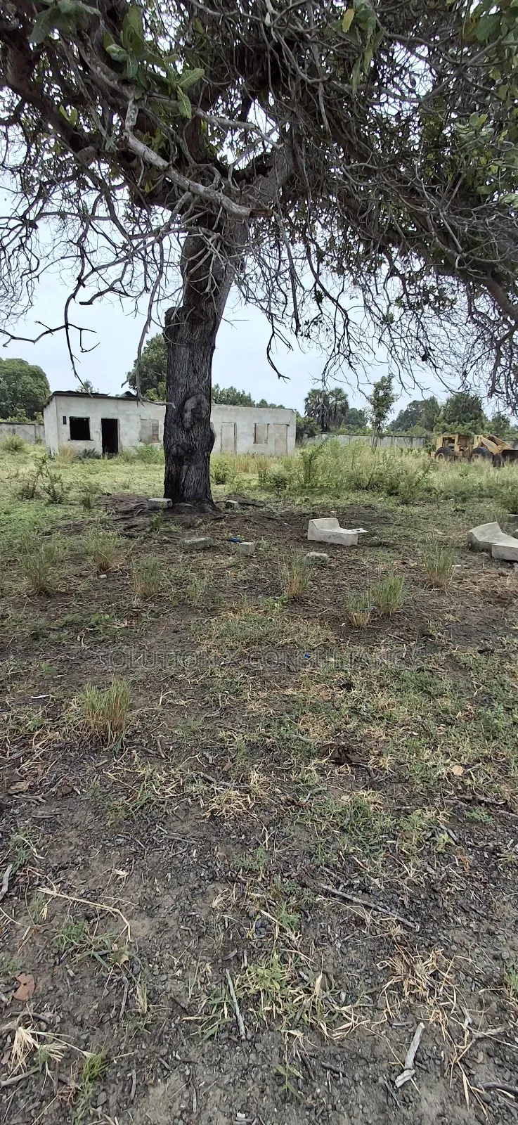 Yard for Rent at Kerege Bagamoyo (Eneo Linapangishwa Kerege) in Bagamoyo