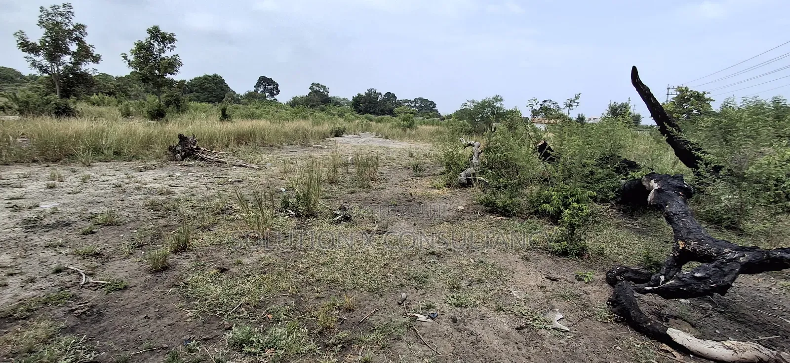 Yard for Rent at Kerege Bagamoyo (Eneo Linapangishwa Kerege) in Bagamoyo