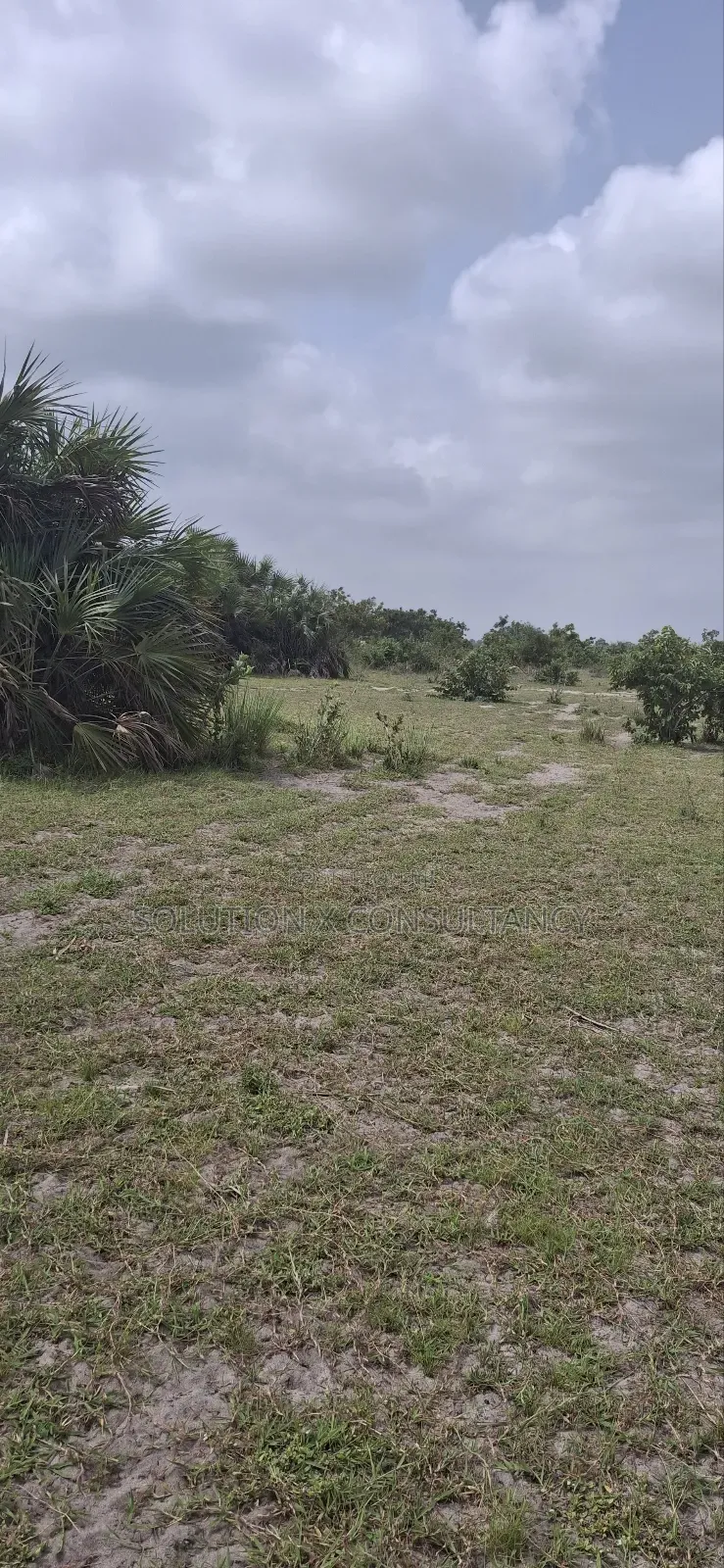 Eneo Linauzwa Mataya Bagamoyo in Bagamoyo