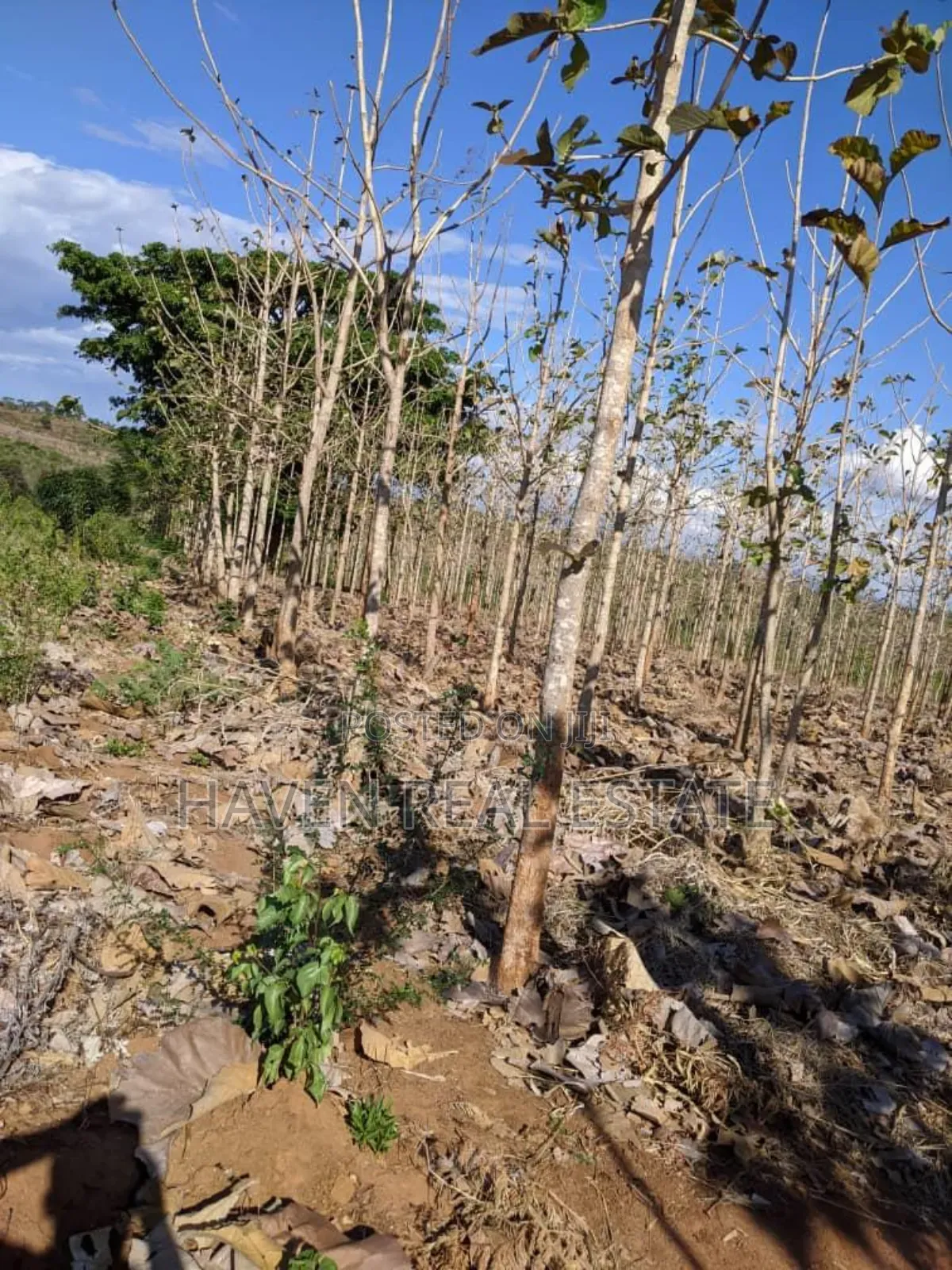 Shamba Linauzwa Kilosa Morogoro in Kilosa