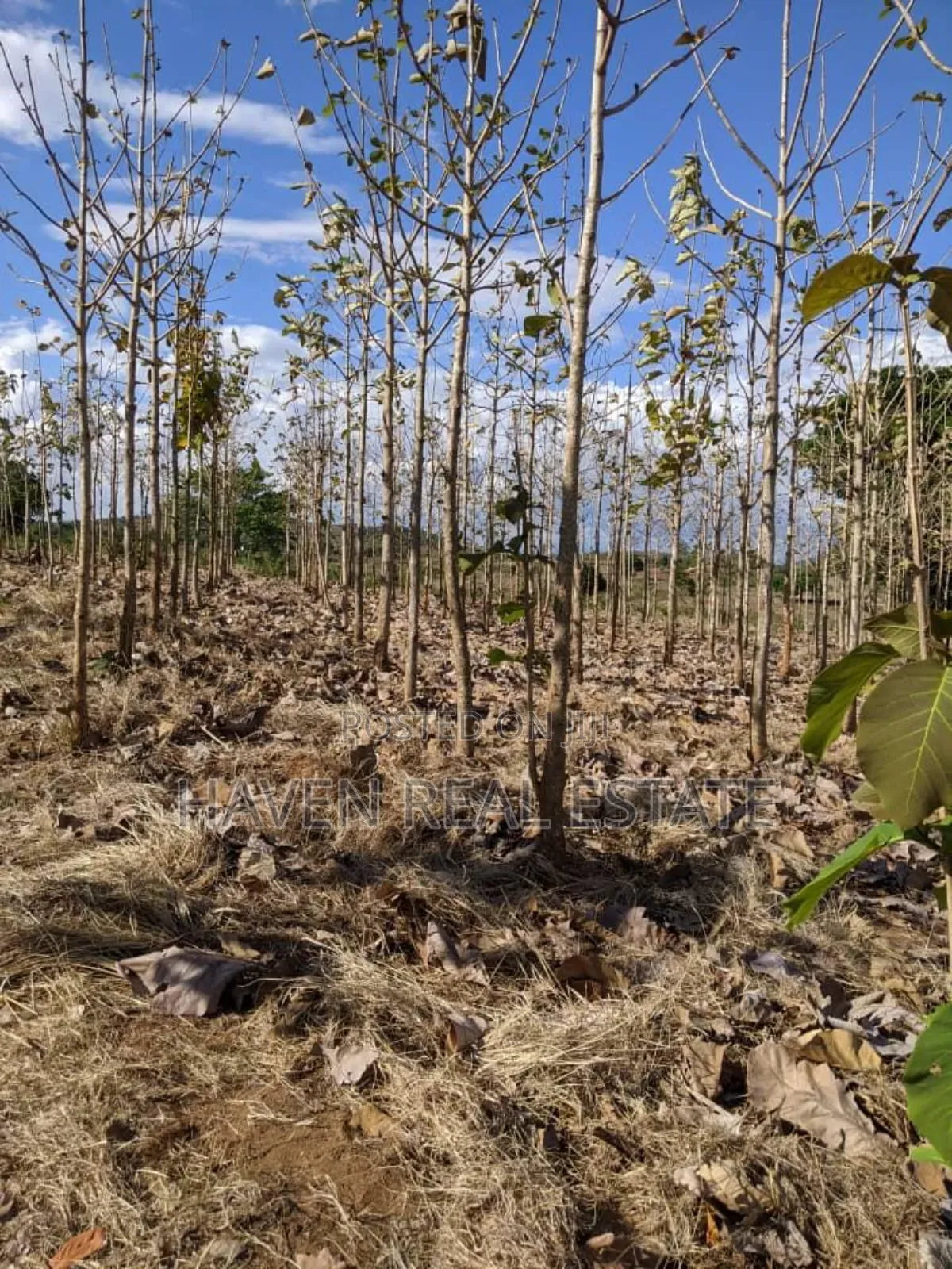 Shamba Linauzwa Kilosa Morogoro in Kilosa