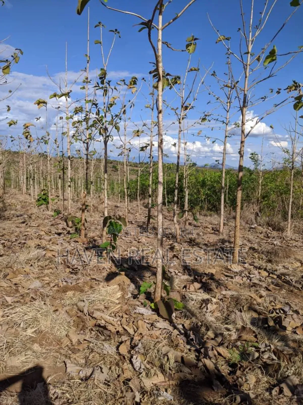 Shamba Linauzwa Kilosa Morogoro in Kilosa